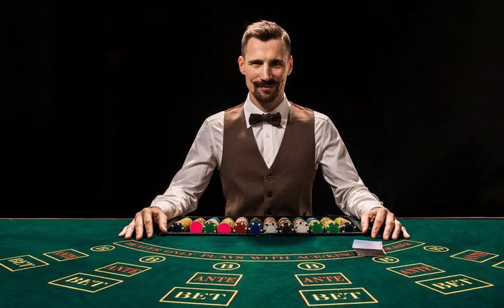 Springbok Casino Live Casino